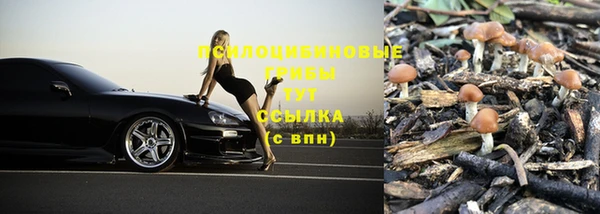 амф Вязьма