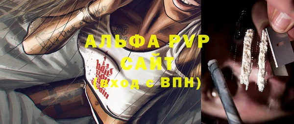 амф Вязьма