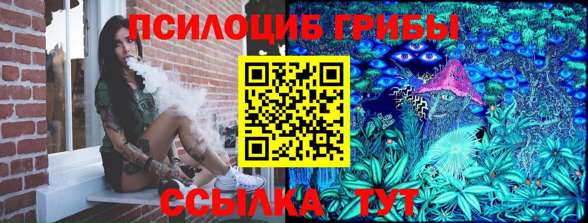 Галлюциногенные грибы MAGIC MUSHROOMS Гуково