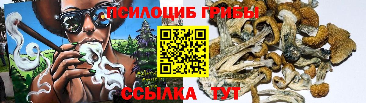 Гуково  купить наркотик  Вход с VPN  Галлюциногенные грибы ЛСД 