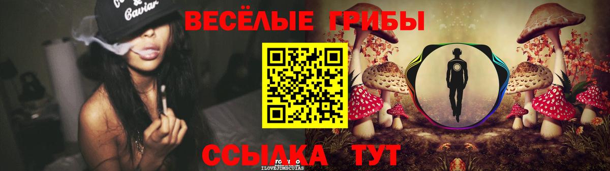 как найти закладки  Псилоцибиновые грибы Magic Shrooms  Гуково  Псилоцибиновые грибы прущие грибы 